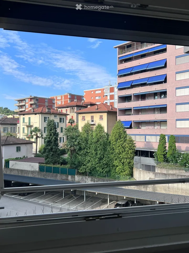 Luminoso monolocale con cucina separata
