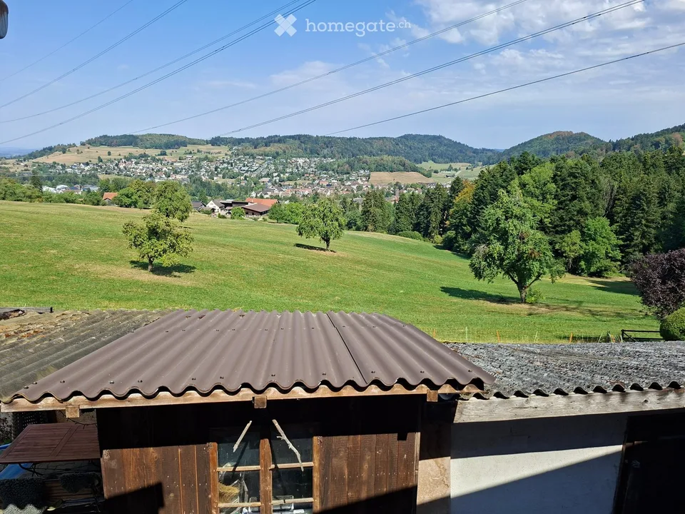 Flarzhaus an ruhiger, grüner und sonniger Lage mit Sicht auf Bäretswil