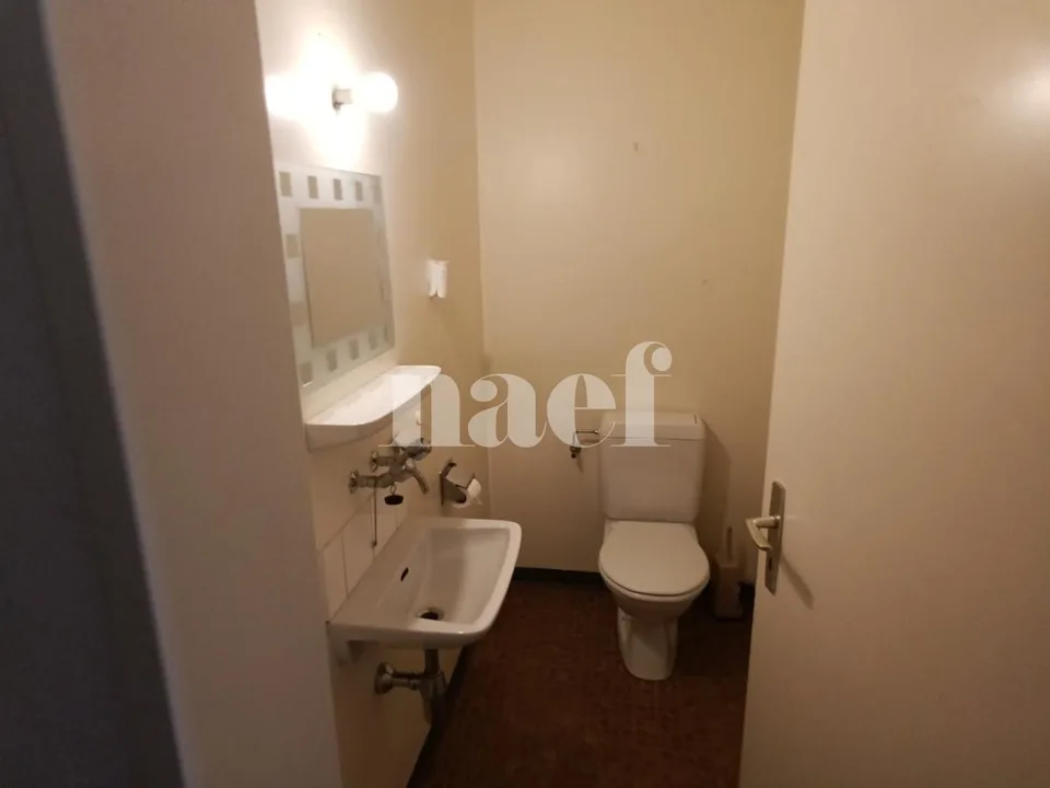 Grand appartement avec deux balcons !