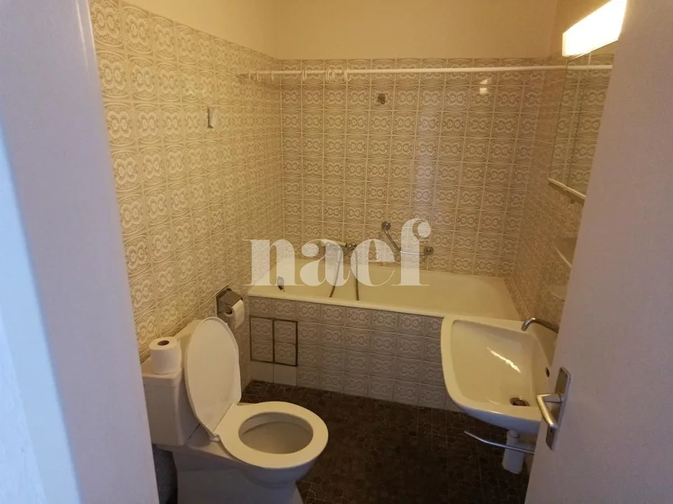 Grand appartement avec deux balcons !