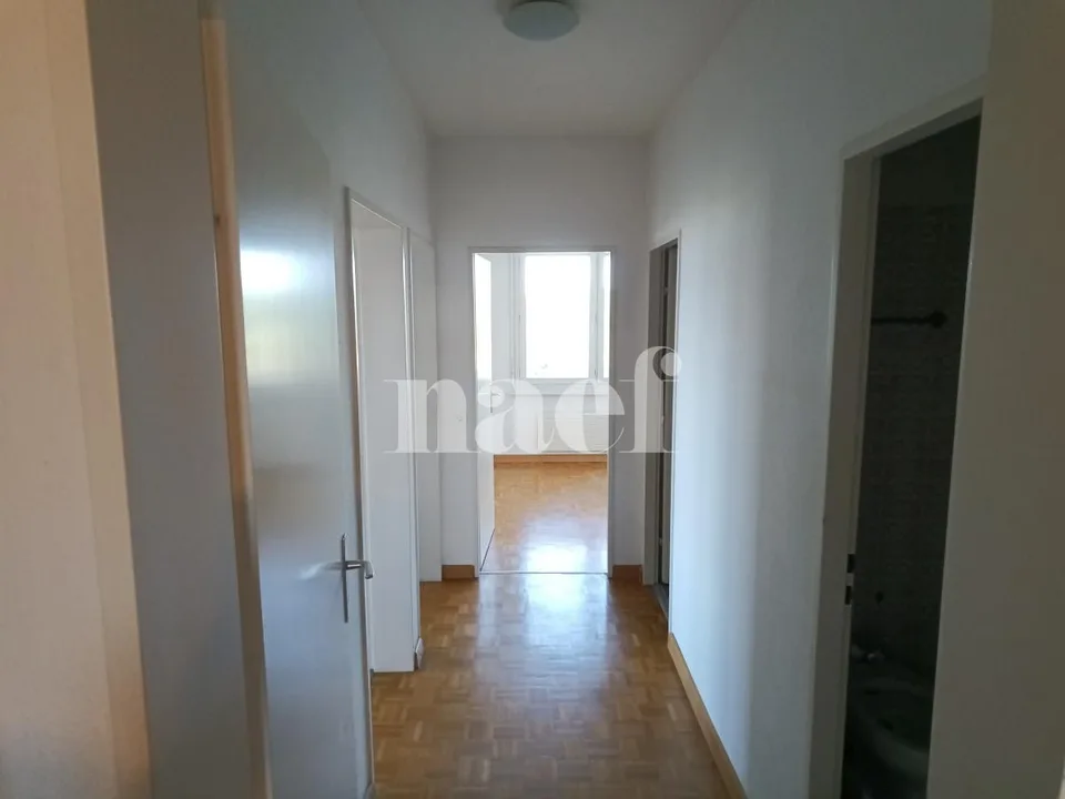 Grand appartement avec deux balcons !