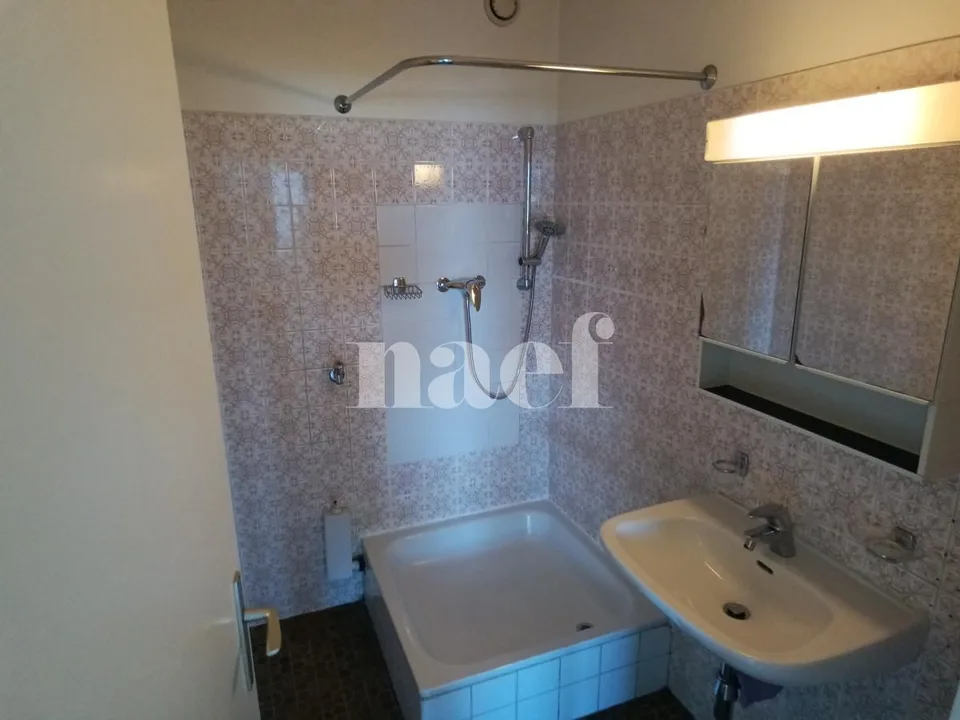Grand appartement avec deux balcons !