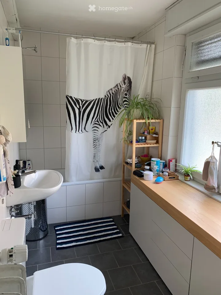 Charmanter, heller Apartment mit 2,5 Zimmern