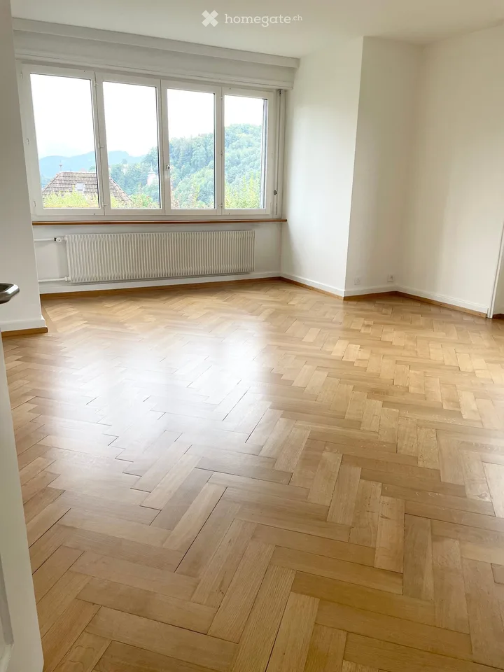 Schöne, sonnige 3-Zimmerwohnung mit Blick auf Pilatus