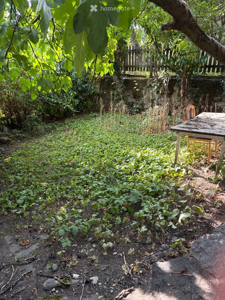 Apartment for rent