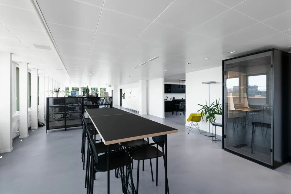 Friesenberg 75: Scenic Working for More Success