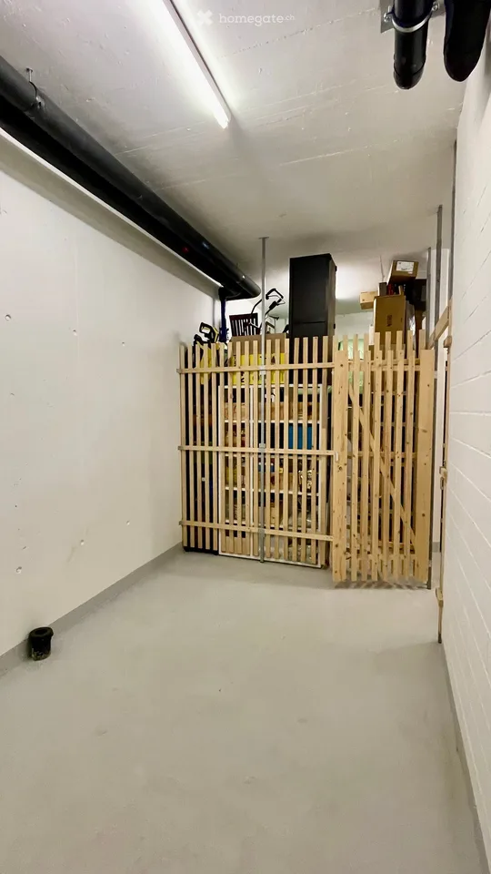 Elegante, helle 4.5-Zimmer-Wohnung mit traumhaftem Alpenpanorama und Seesicht in Dürnten