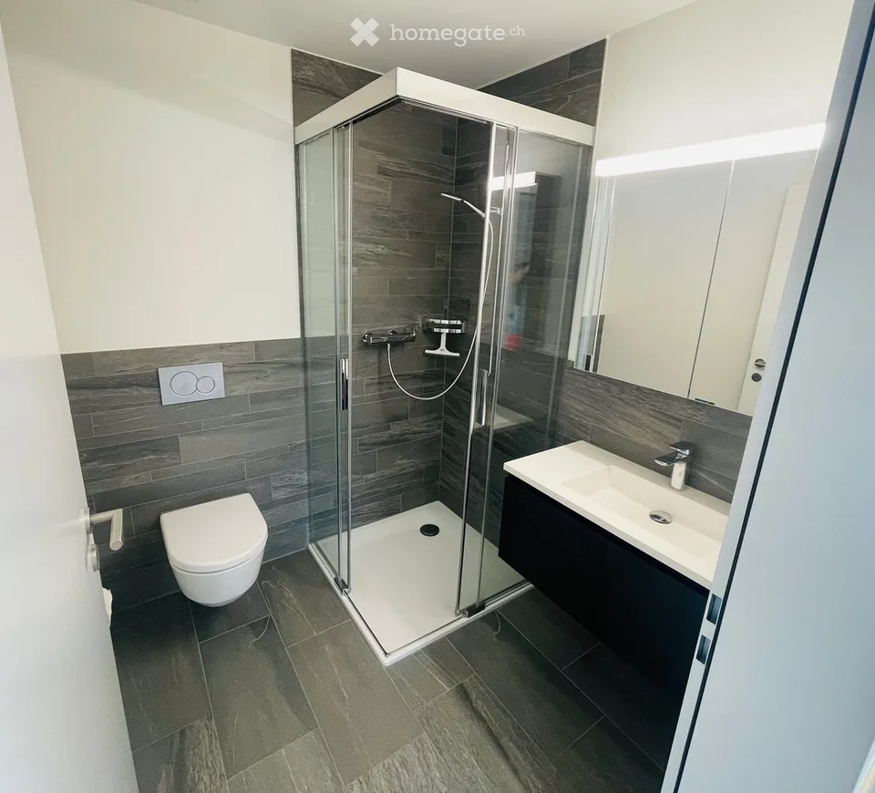 Elegante, helle 4.5-Zimmer-Wohnung mit traumhaftem Alpenpanorama und Seesicht in Dürnten