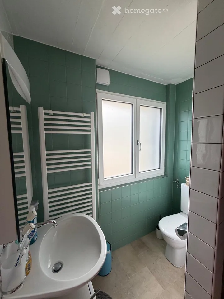 Charmantes 2.5-Zimmer-Doppelhaushälfte in Lüscherz – Seenähe und Idylle pur