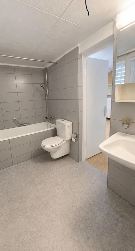 Gemütliche 2-Zimmer-Wohnung in Küssnacht mit schöner Aussicht auf den See