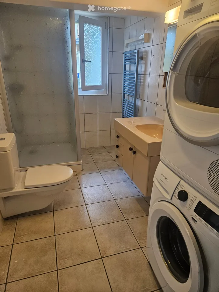Piccolo appartamento di 3 camere