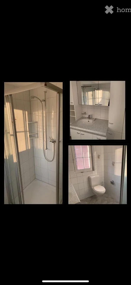 4.5 Room Apartment for Rent