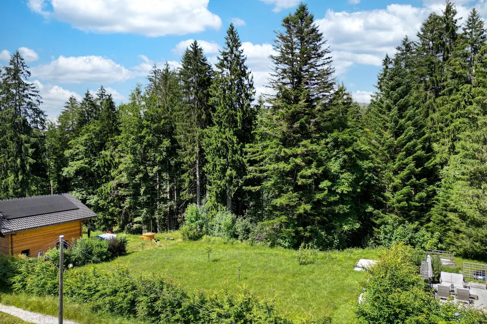 LES PACCOTS - MAGNIFICO CHALET DI 7,5 LOCALI
