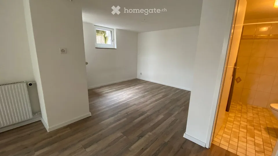Studio 1 pièce fraîchement rénové avec espace de séjour
