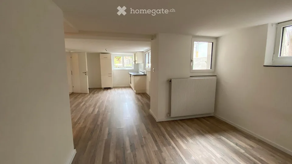 Studio 1 pièce fraîchement rénové avec espace de séjour