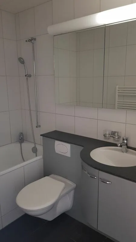 Appartement 2 pièces lumineux avec beaucoup de confort de vie