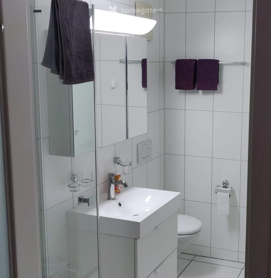 Charmant appartement 3.5 pièces avec balcon - 'Opportunité d'investissement - location à court terme via Airbnb'