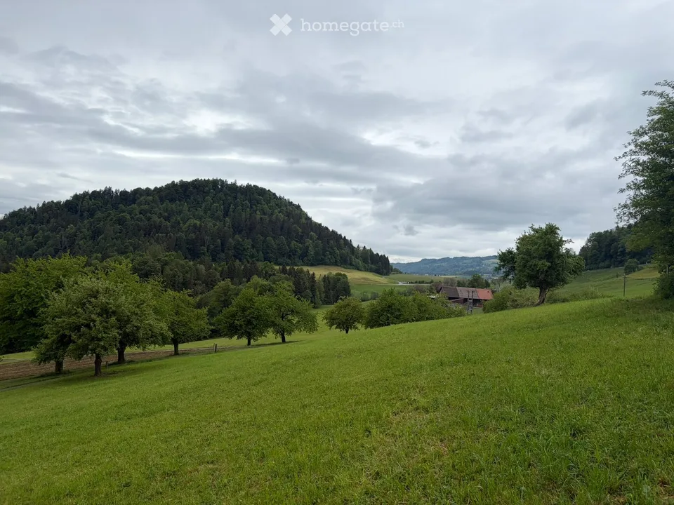 Historic Farmhouse in Neuheim