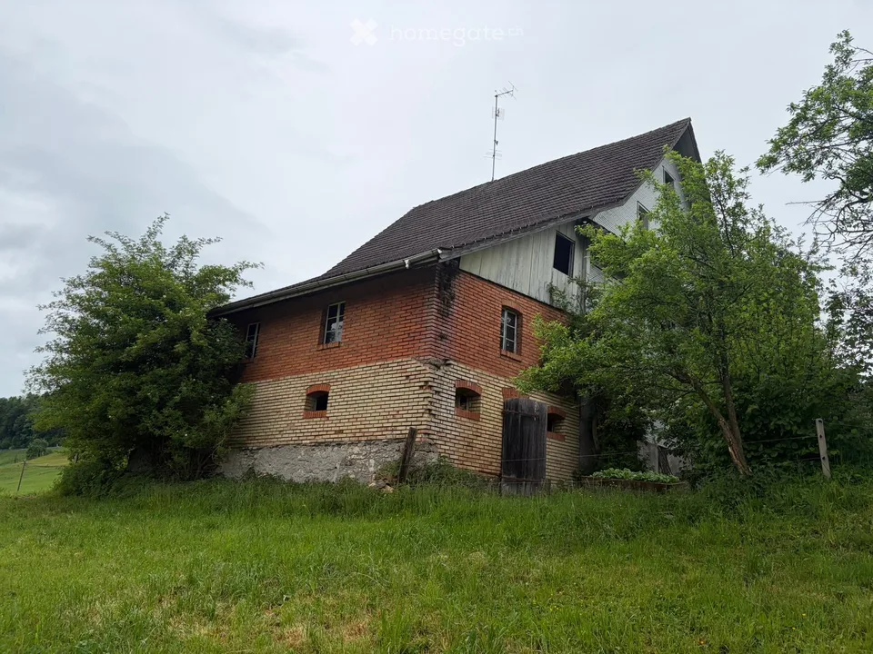 Historic Farmhouse in Neuheim