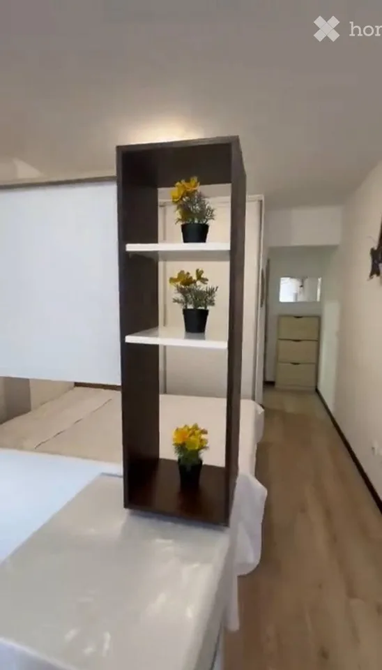 Studio meublé à louer à Genève Plainpalais / UNIGE