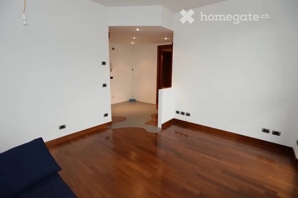 Wonderful two-room apartment with lake view and terrace with pool in the condominium