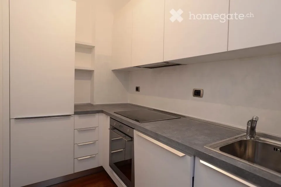 Wonderful two-room apartment with lake view and terrace with pool in the condominium