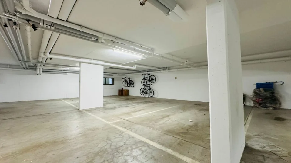 Appartamento di 2,5 locali completamente ristrutturato con stanza da hobby, balcone, soffitta, cantina, e posto auto sotterraneo