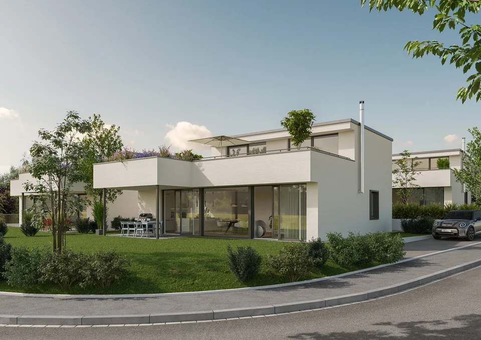New Build: Modern Detached Single-Family Home with Underground Garage in Möhlin