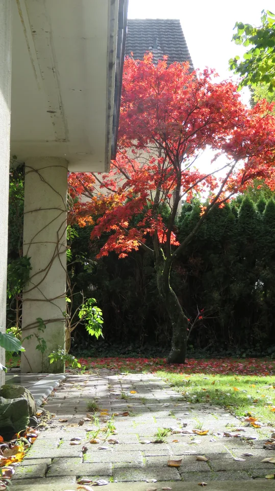 Moderne, lichtdurchflutete Wohlfühloase mit Garten & Cheminée an begehrter Lage in Winterthur
