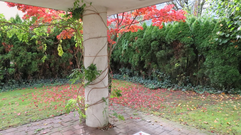 Moderne, lichtdurchflutete Wohlfühloase mit Garten & Cheminée an begehrter Lage in Winterthur