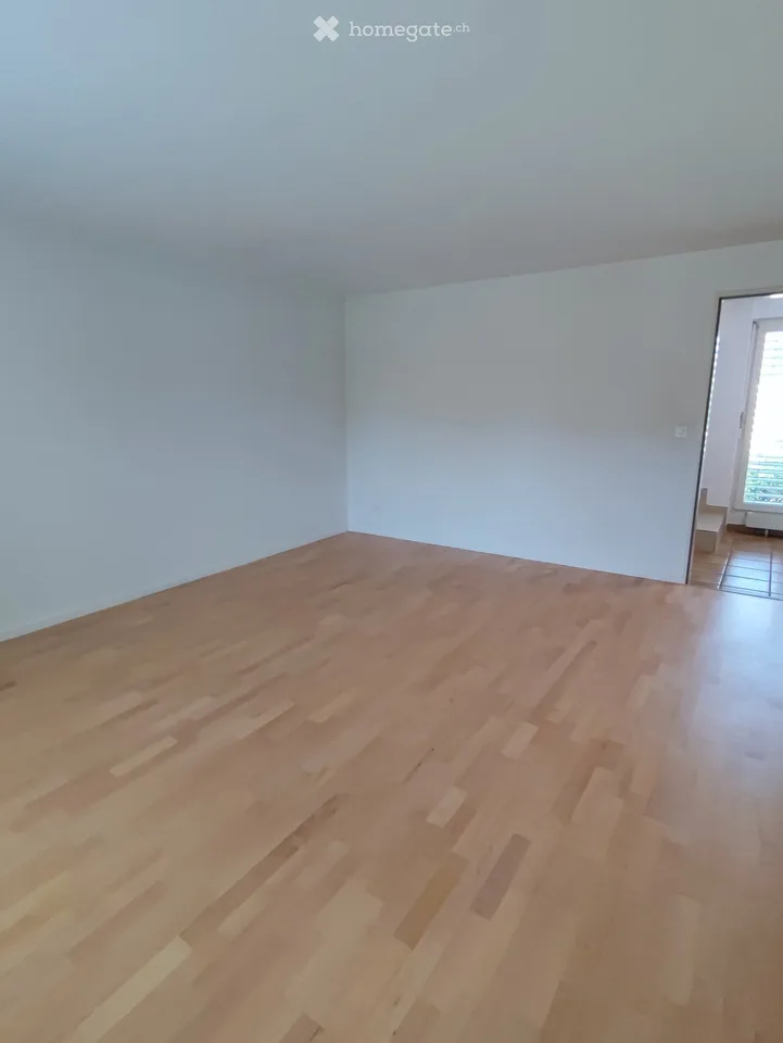 Spacious 3.5-room apartment with terrace in Breitenbach