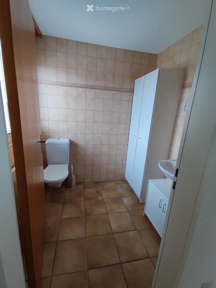 Spacious 3.5-room apartment with terrace in Breitenbach
