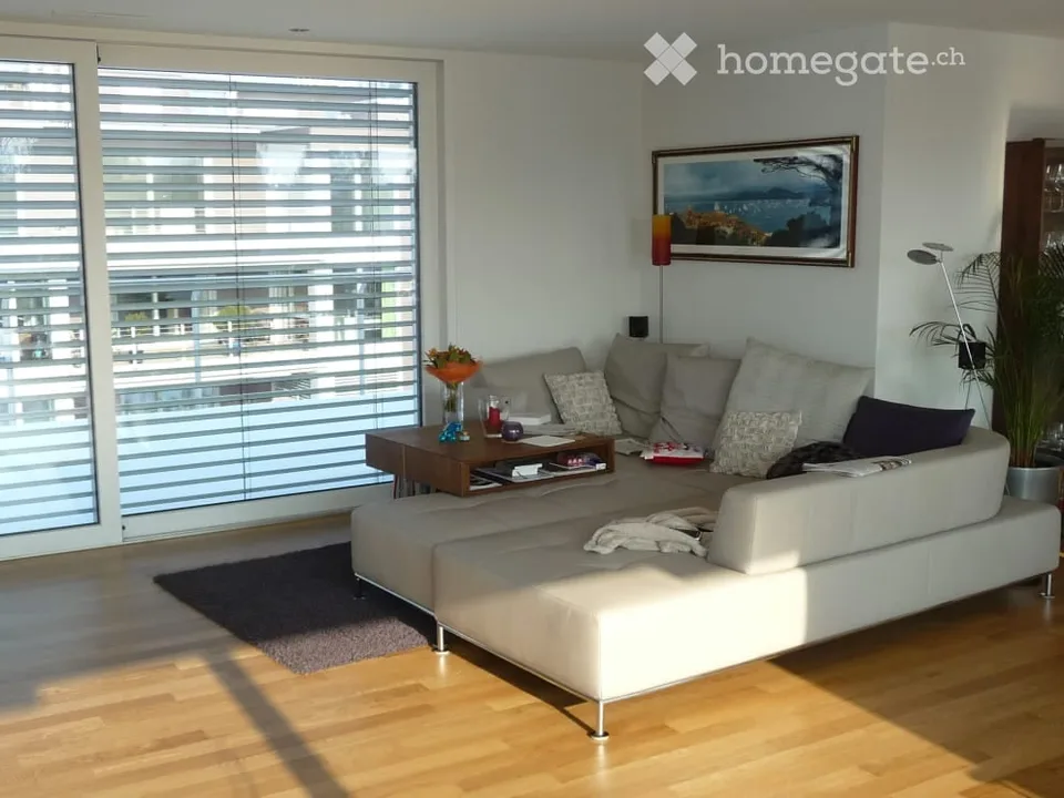 Beautiful attic apartment in prime location by the lake in Pfäffikon