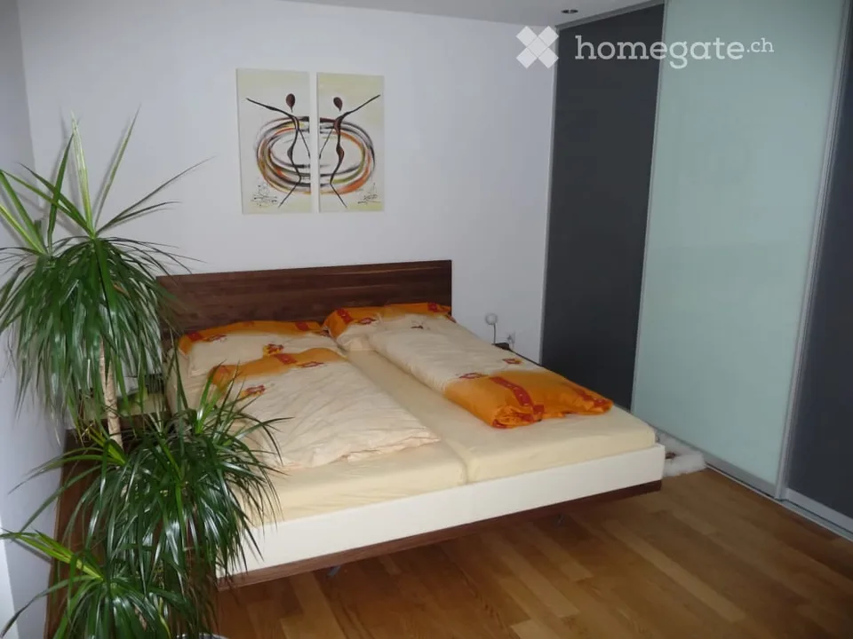 Beautiful attic apartment in prime location by the lake in Pfäffikon
