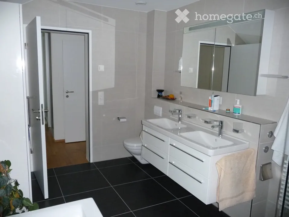 Beautiful attic apartment in prime location by the lake in Pfäffikon