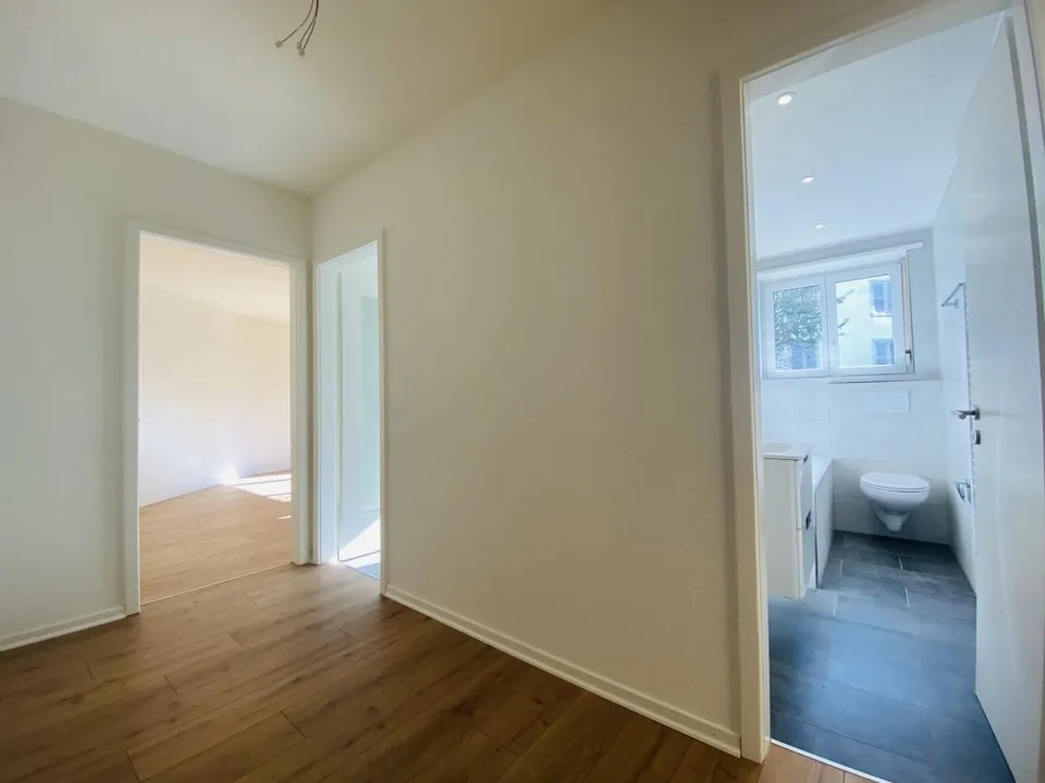 Seconda occupazione appartamento 2.5 locali con balcone e cantina (1012)