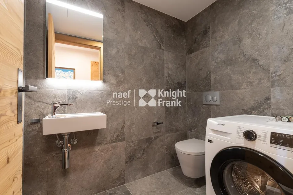 Rental of a 3.5-room apartment - Guépard