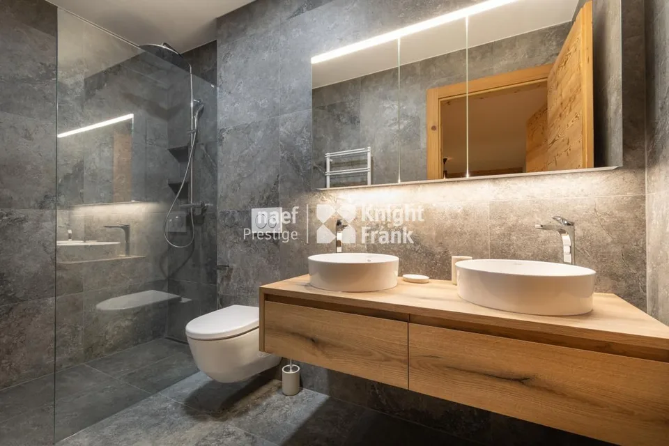 Rental of a 3.5-room apartment - Guépard