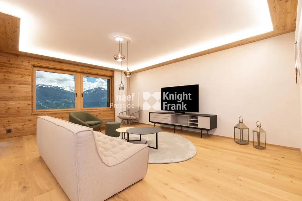 Rental of a 3.5-room apartment - Guépard