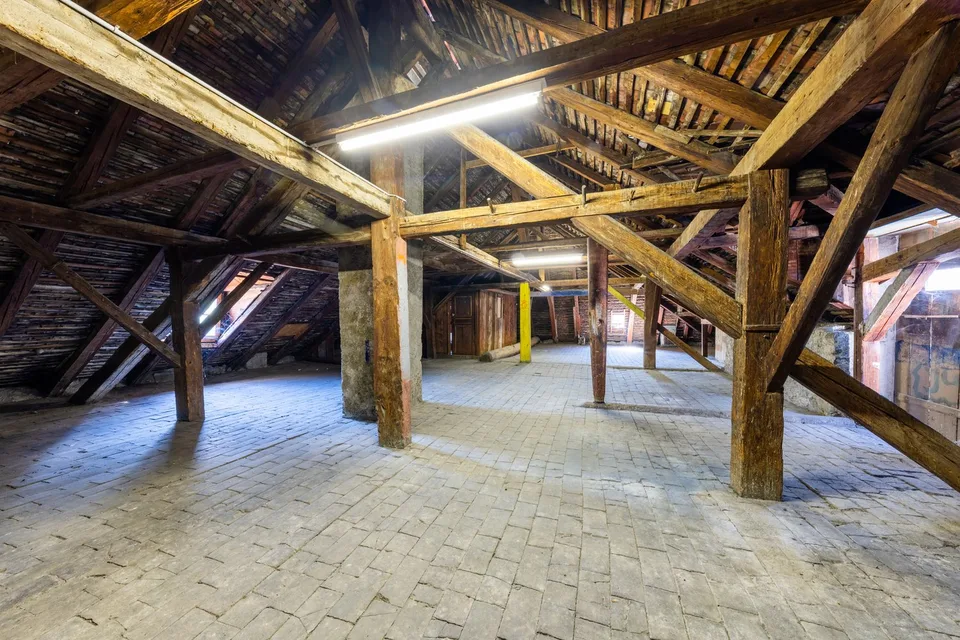 RARE OPPORTUNITY - Rental property in the heart of Vevey - mixed use