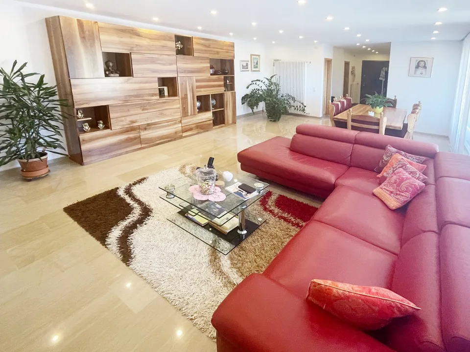 Casa 4,5 completamente ristrutturata con grande giardino e ampio fondo