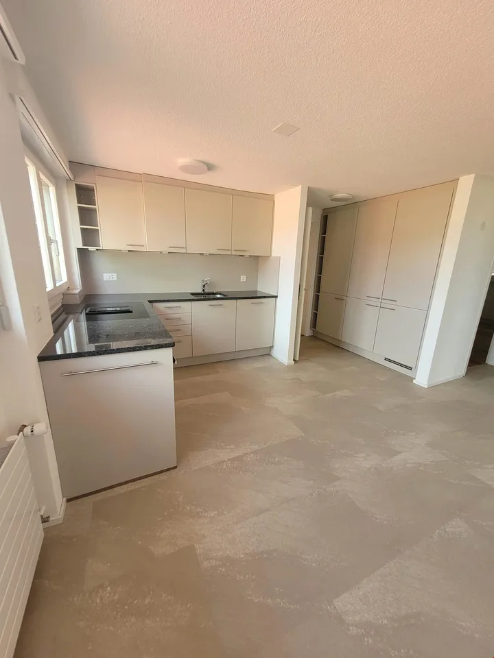 Grosse und helle 4.5-Zimmerwohnung mit Dachterrasse