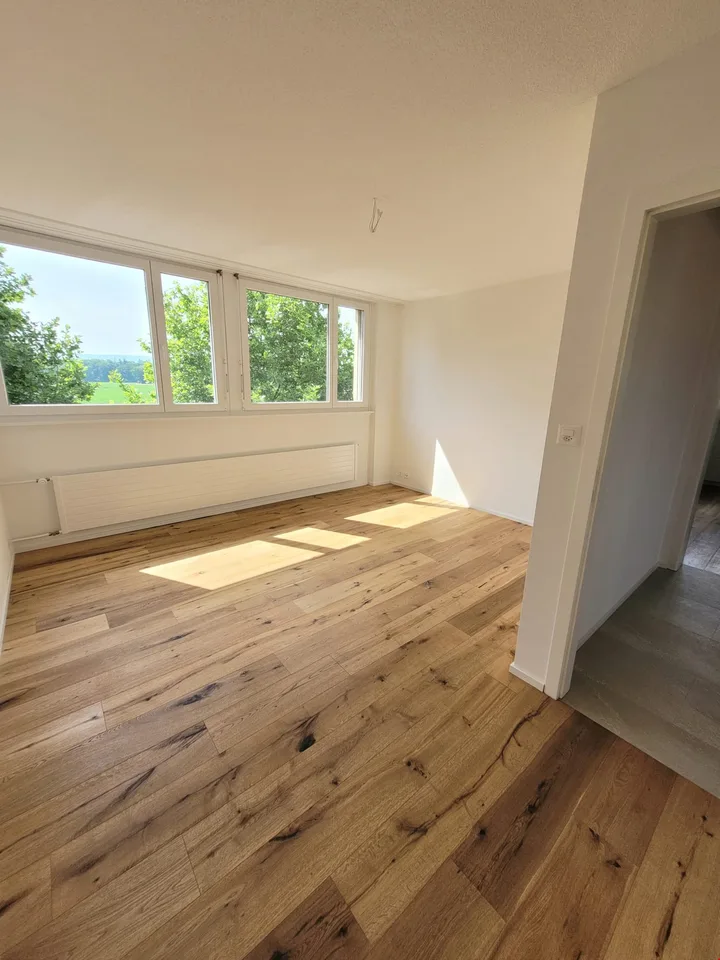 Grosse und helle 4.5-Zimmerwohnung mit Dachterrasse
