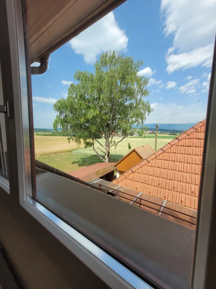 Grosse und helle 4.5-Zimmerwohnung mit Dachterrasse