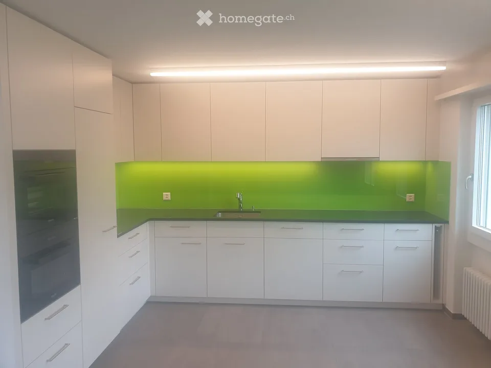 Ruhige Wohnung am See mit wunderbarer Aussicht (Nussbaumen AG)