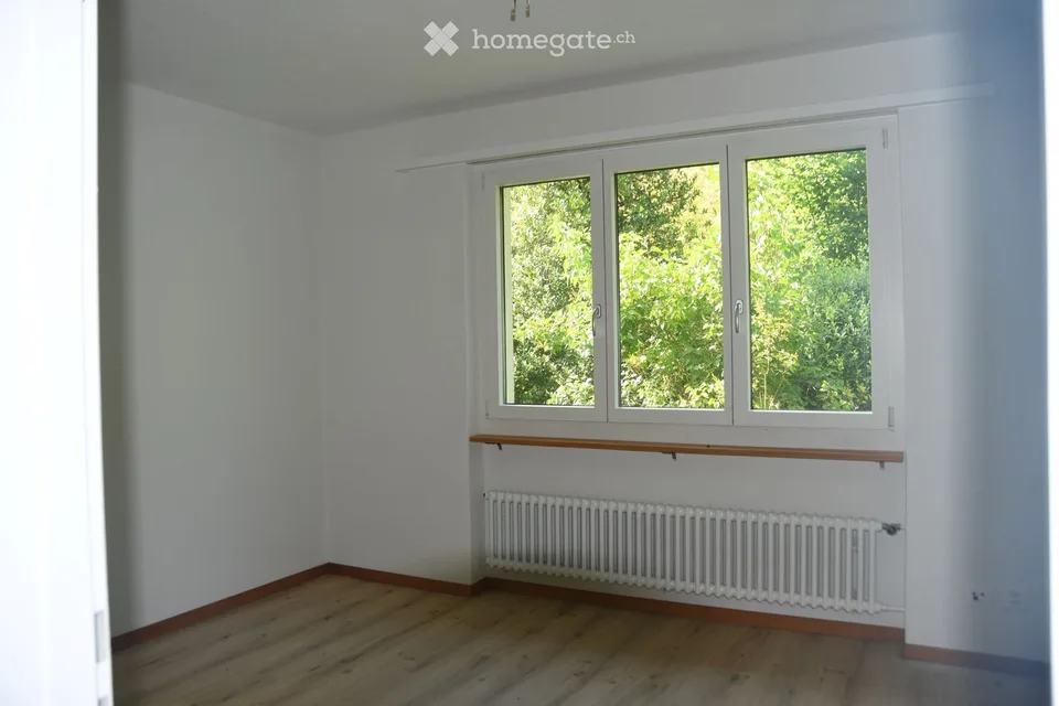 Ruhige Wohnung am See mit wunderbarer Aussicht (Nussbaumen AG)