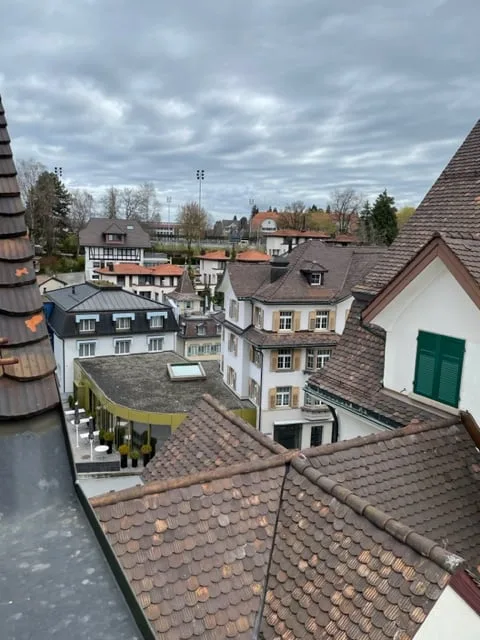Luxeriöse sanierte 4,5 Zimmer Altbau Wohnung mit Balkon im Zentrum von Herisau