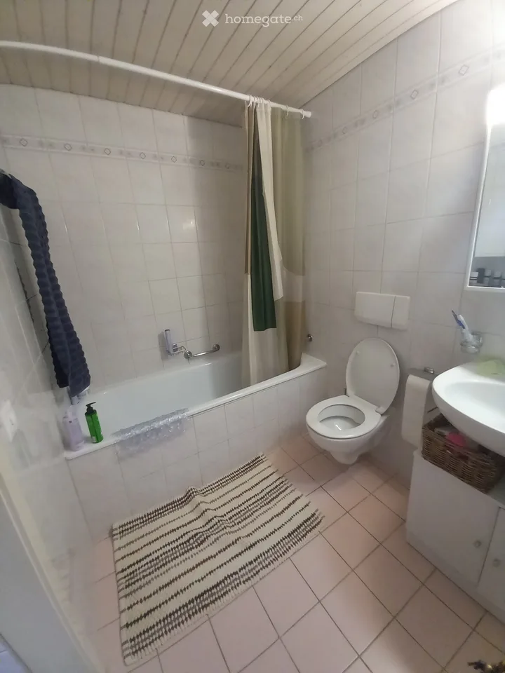 Charmanter Apartment 2.5 in Villargiroud