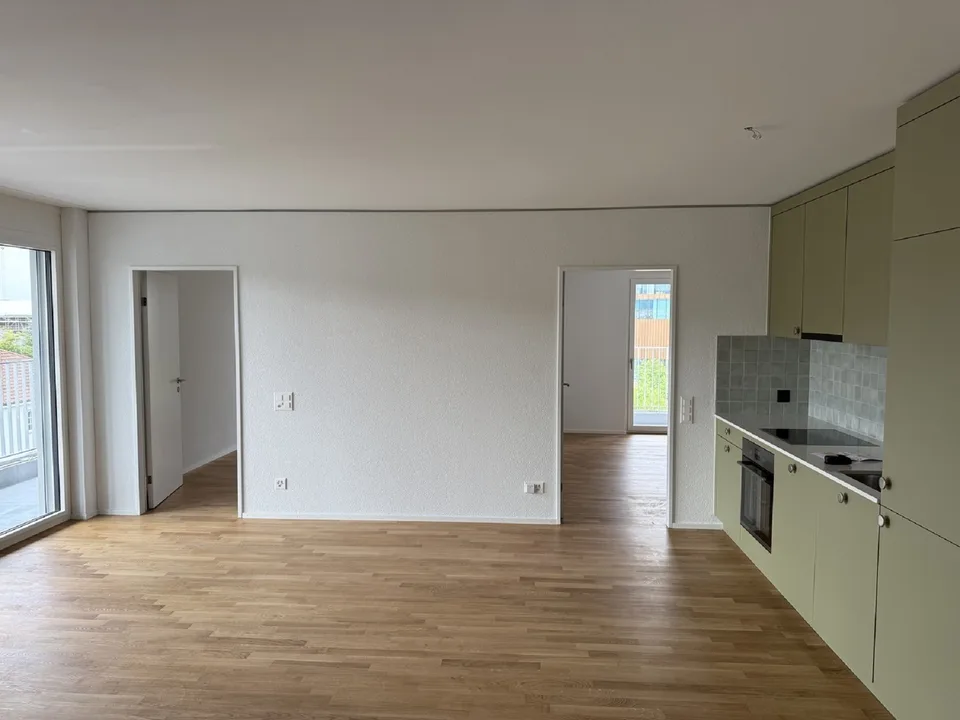 Modern 3-room apartment with balcony and beautiful view in Muttenz