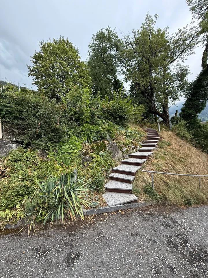 Magnifique villa 6.5 pièces à Blonay - Saint-Légier avec vue panoramique